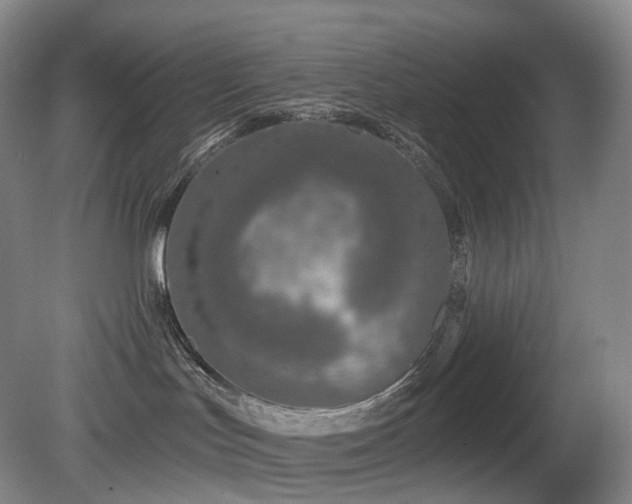 X0000081600047200701151350