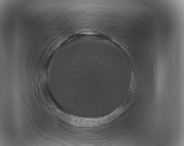 X0000081600048200701151350