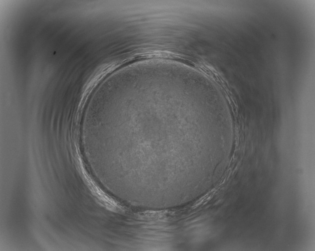 X0000081600049200701151350