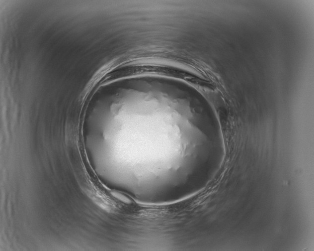 X0000081600051200701151350