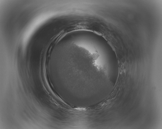 X0000081600052200701151350