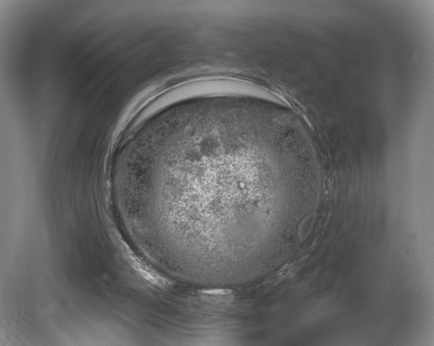 X0000081600053200701151350