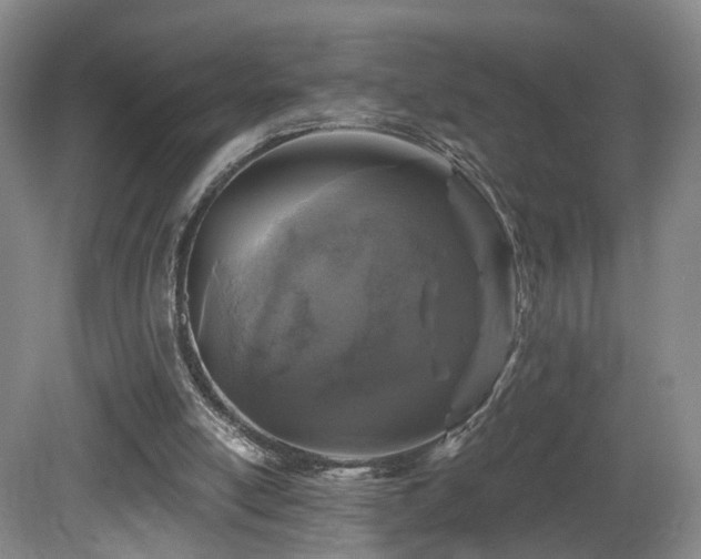 X0000081600054200701151350