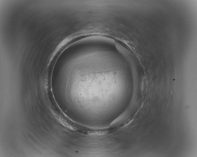 X0000081600056200701151350