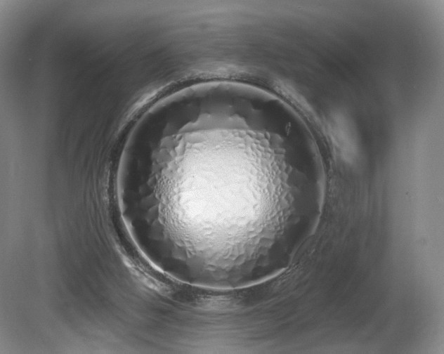 X0000081600058200701151350