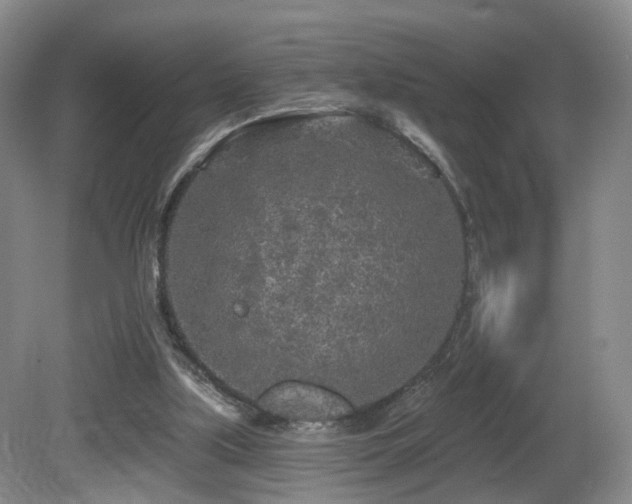 X0000081600059200701151350