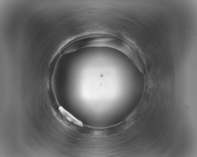 X0000081600060200701151350