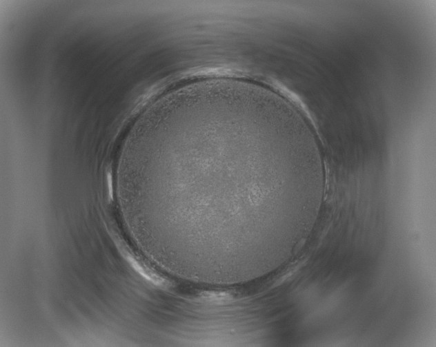 X0000081600061200701151350