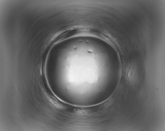 X0000081600062200701151350