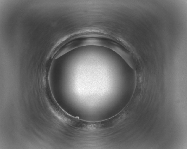 X0000081600064200701151350