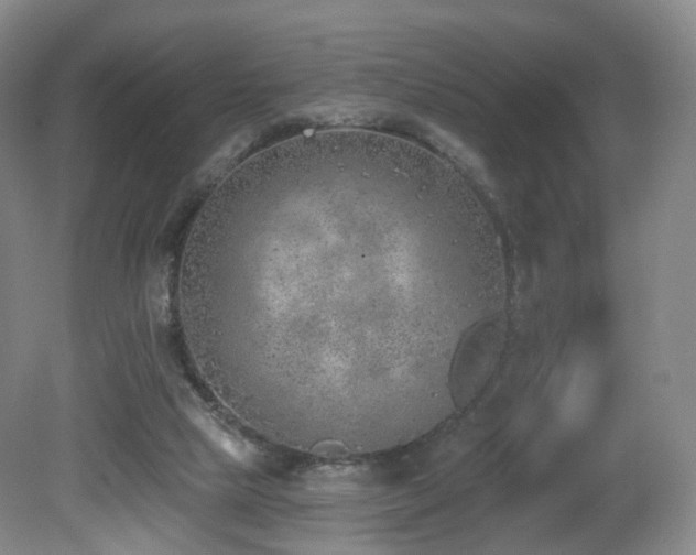 X0000081600065200701151350