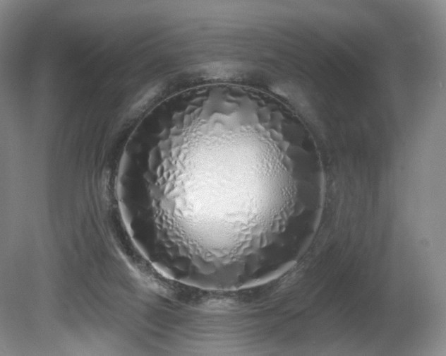 X0000081600066200701151350