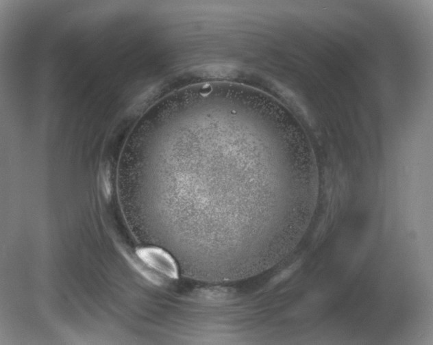 X0000081600069200701151350