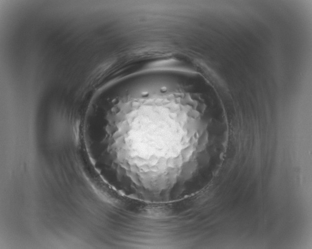 X0000081600070200701151350