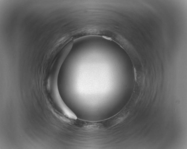 X0000081600072200701151350