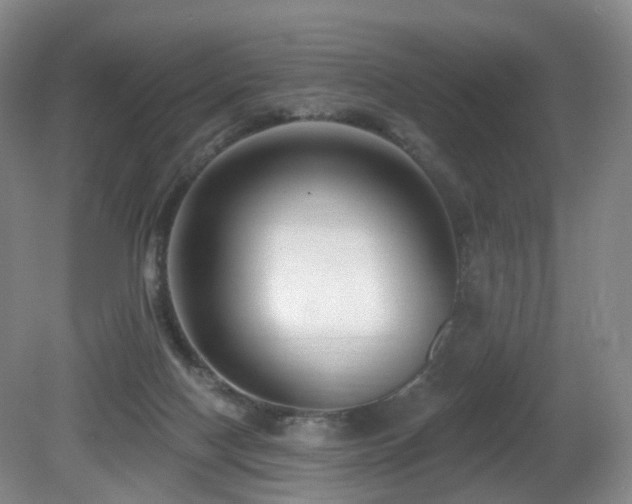 X0000081600074200701151350