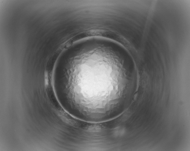 X0000081600075200701151350