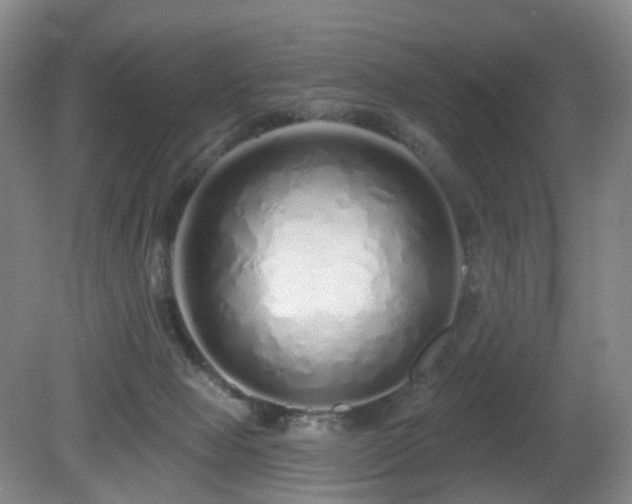 X0000081600077200701151350