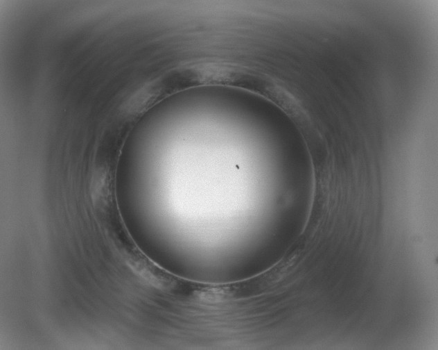 X0000081600079200701151350