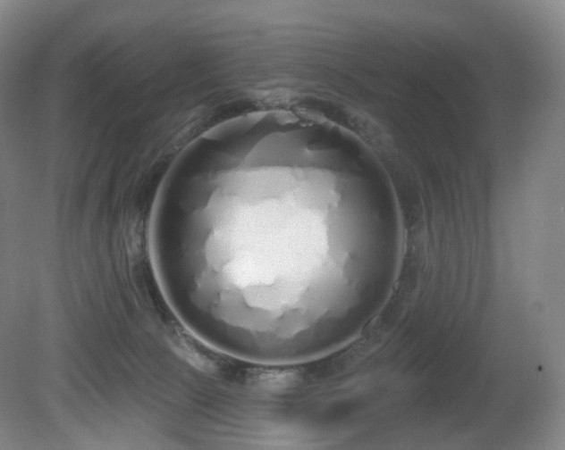 X0000081600081200701151350