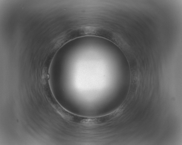 X0000081600082200701151350