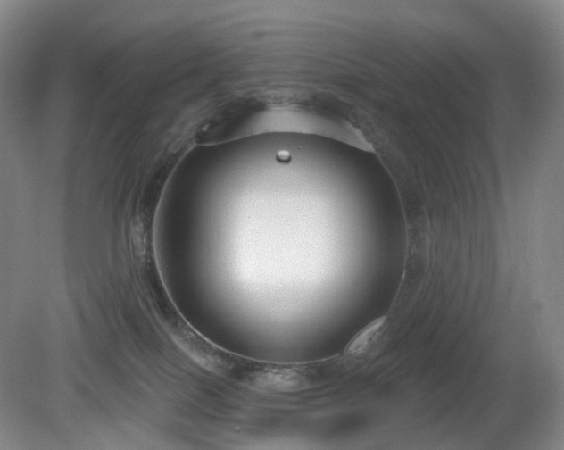 X0000081600086200701151350