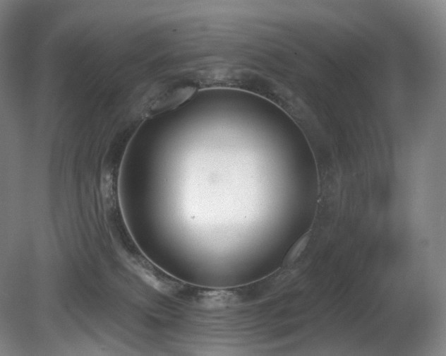 X0000081600087200701151350