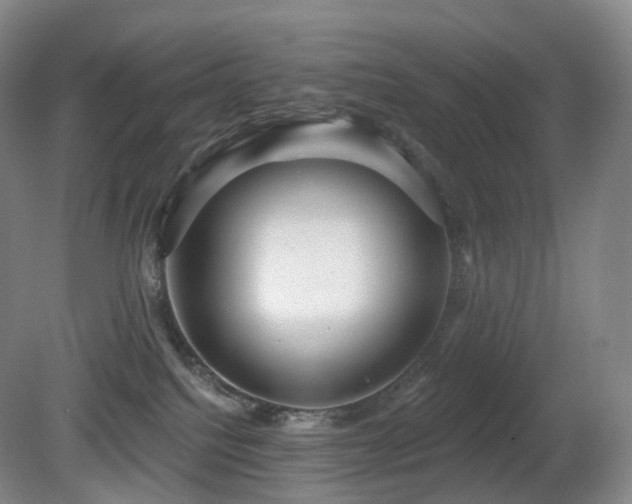 X0000081600088200701151350