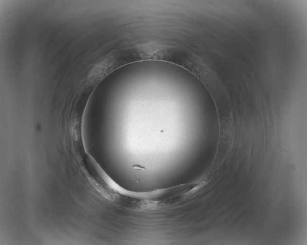 X0000081600090200701151350