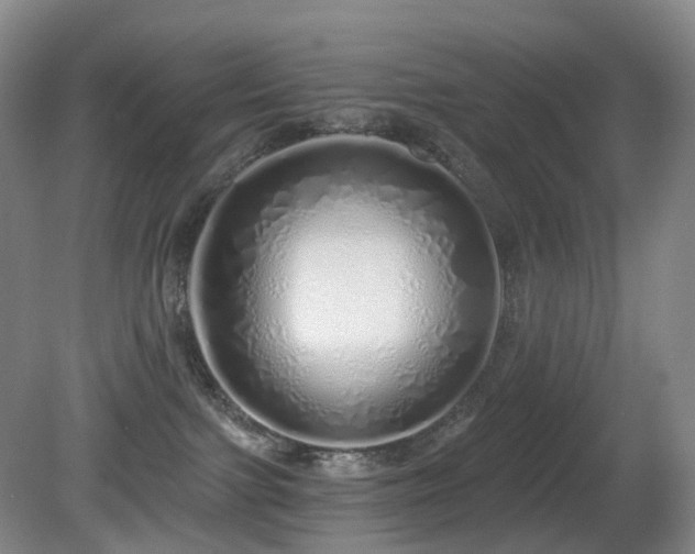 X0000081600091200701151350