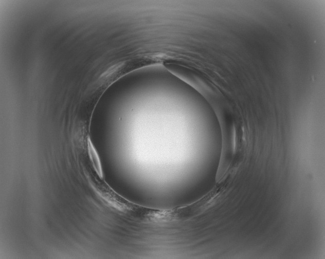 X0000081600092200701151350