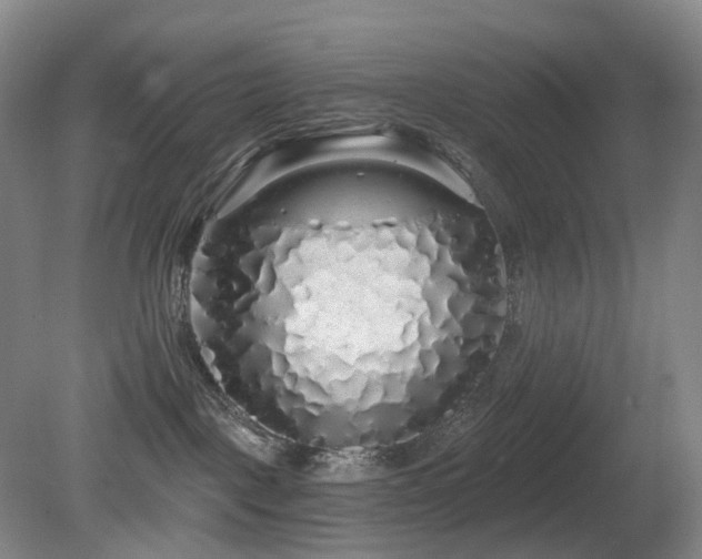 X0000081600093200701151350