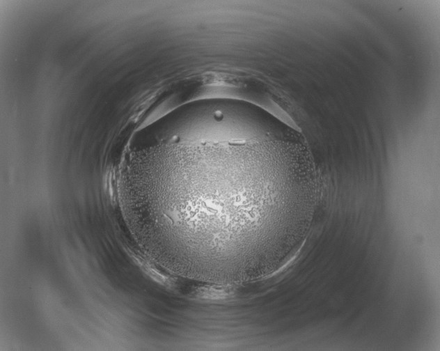 X0000081600094200701151350