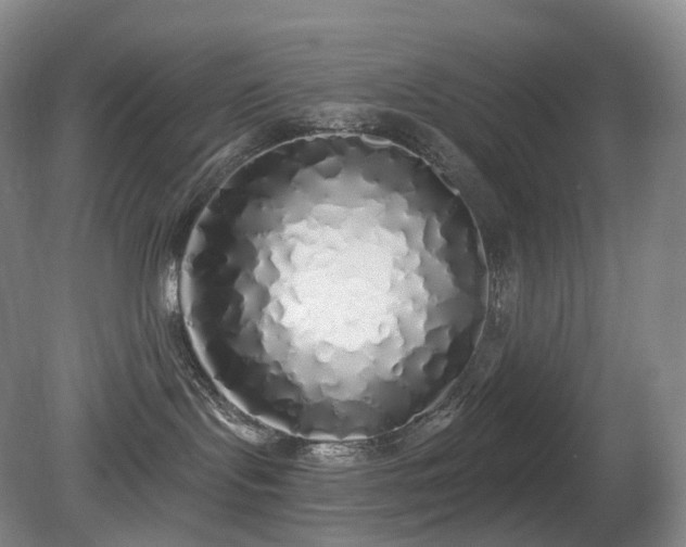 X0000081600095200701151350