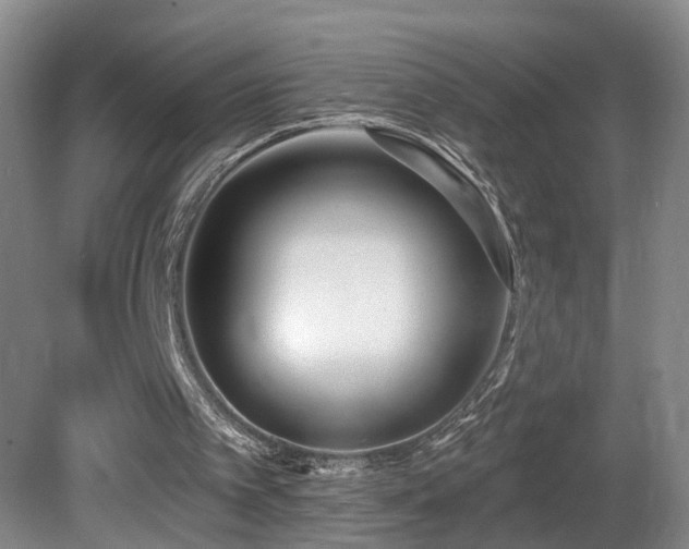 X0000081600097200701151349