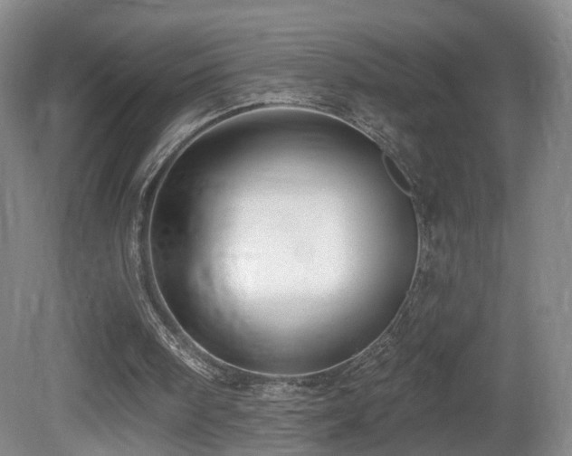 X0000081600098200701151349