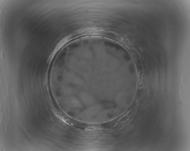 X0000081600099200701151349