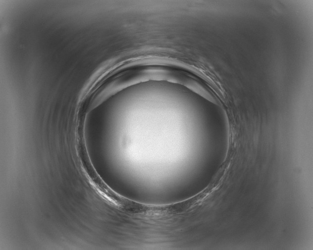 X0000081600101200701151349