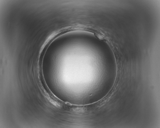 X0000081600102200701151349