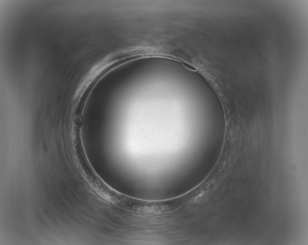 X0000081600103200701151349