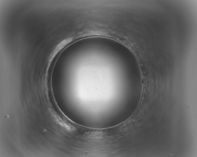 X0000081600104200701151349