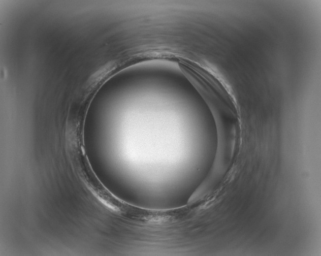 X0000081600105200701151349