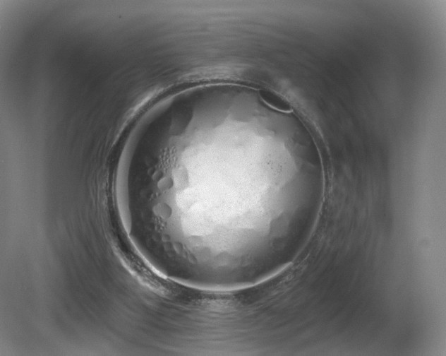 X0000081600107200701151349