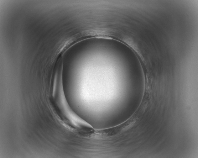 X0000081600109200701151349