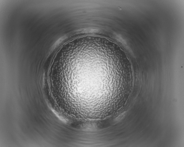 X0000081600110200701151349