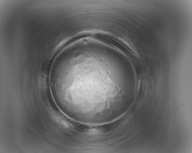 X0000081600111200701151349