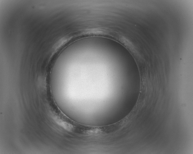 X0000081600112200701151349