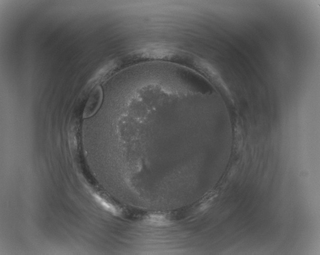 X0000081600114200701151349