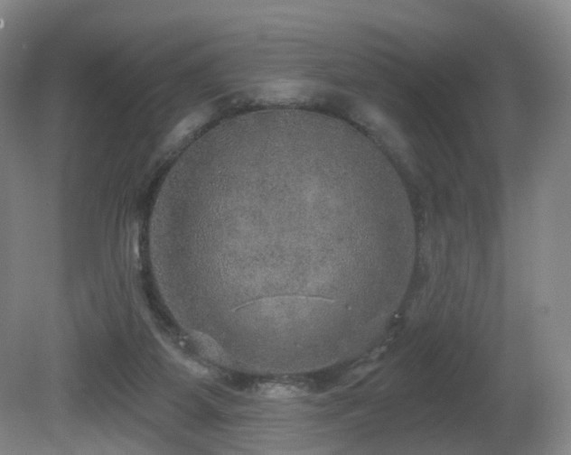 X0000081600115200701151349