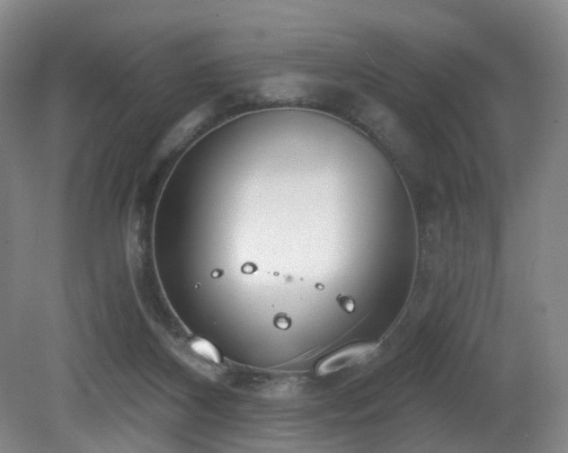 X0000081600116200701151349